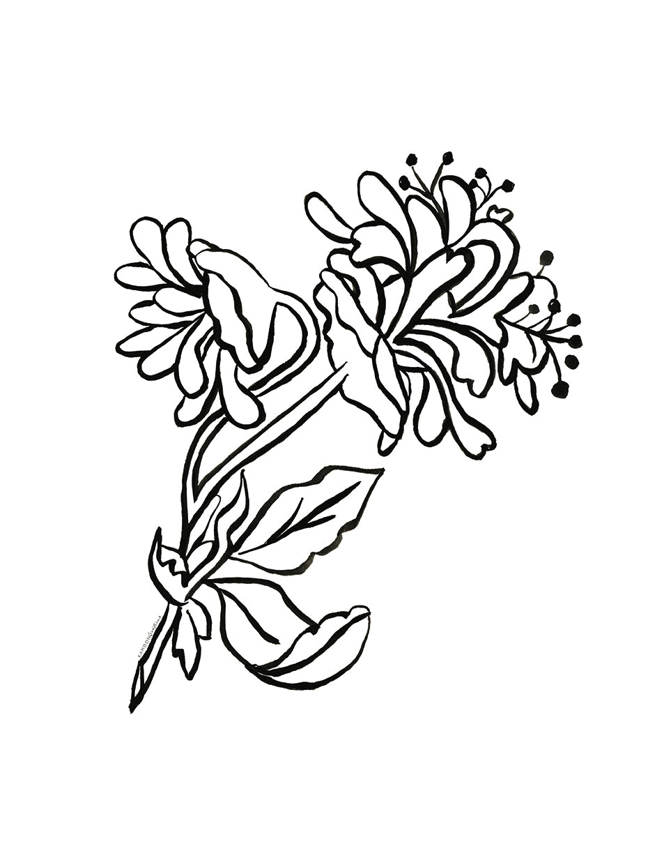 Slight, Sweet and Strong