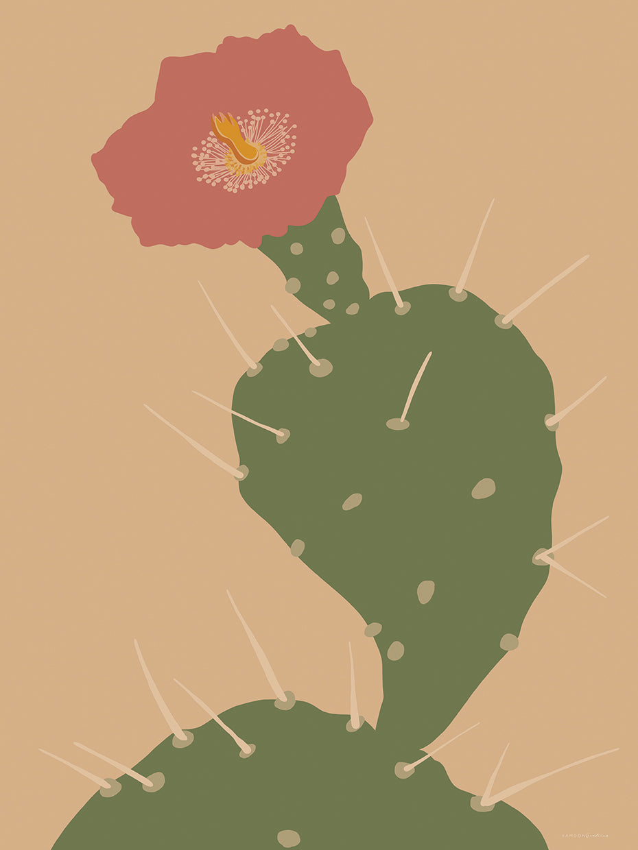 Pretty Prickle 1