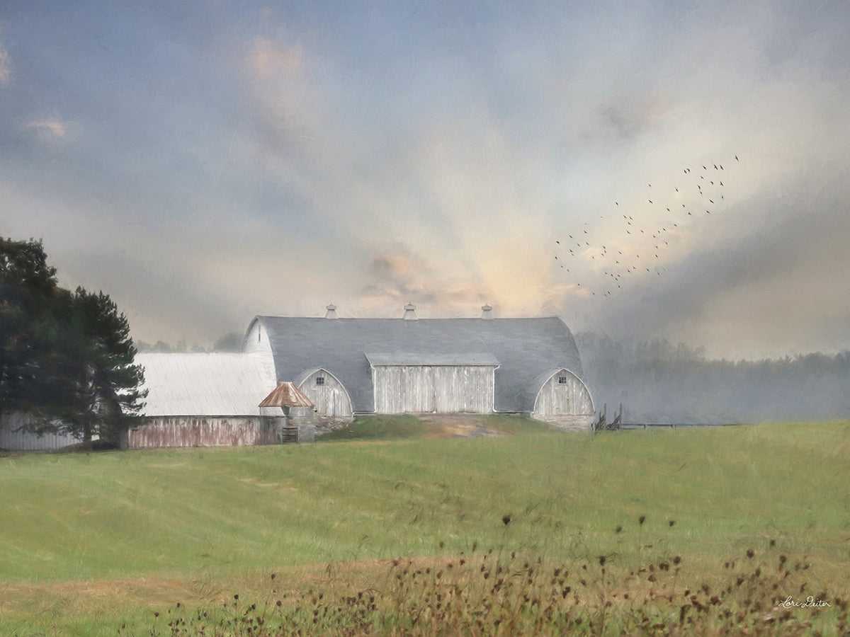 Country Morning