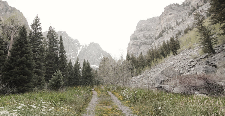 Camino a Tetons Lienzo