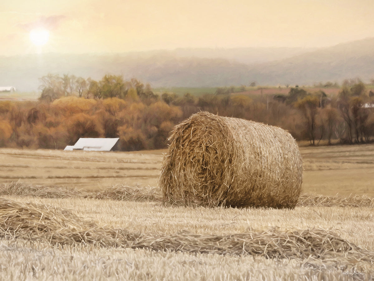 Golden Country Sunrise