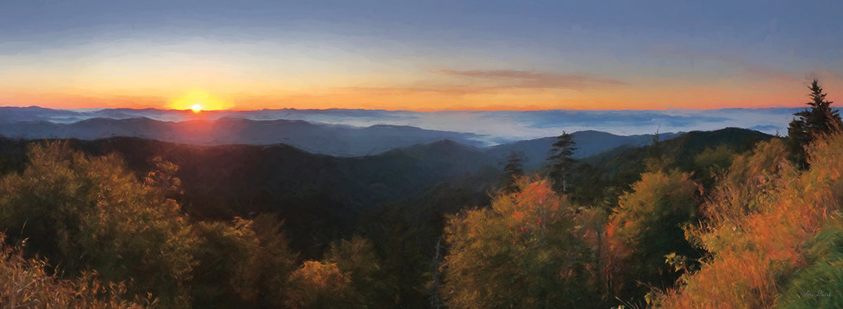 Clingman's Morning Serenity