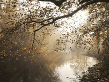 Morning Rays at Swatara Creek