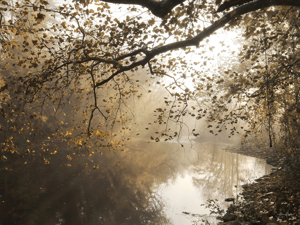 Morning Rays at Swatara Creek
