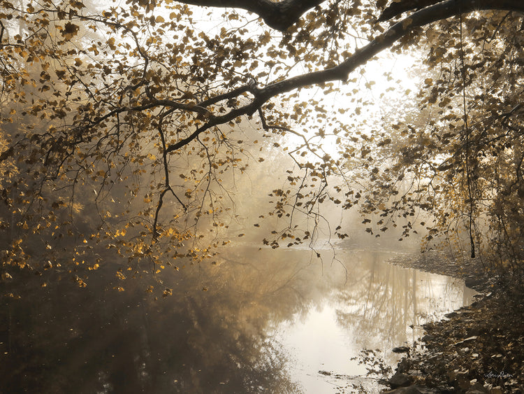 Rayos matutinos en Swatara Creek Lienzo