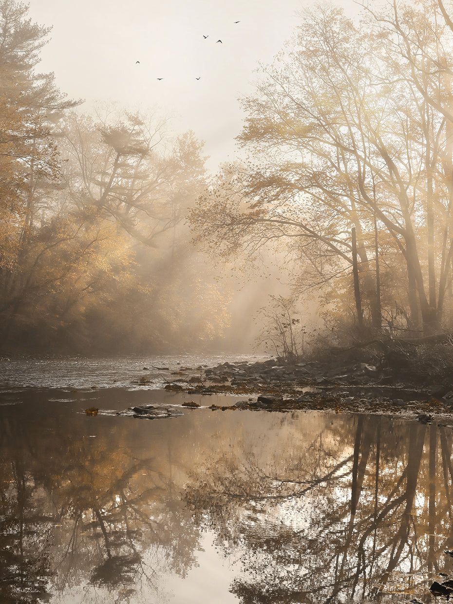 Gold Reflections