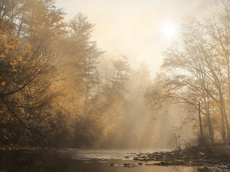 Treasure the Moments