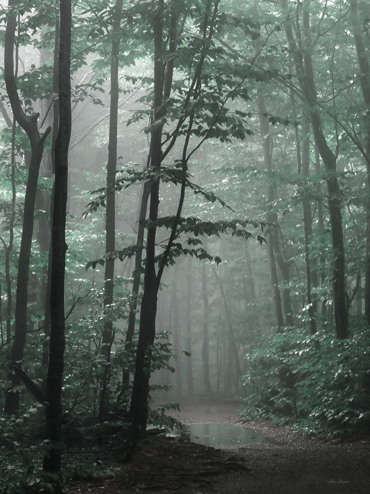 Bosque brumoso Lienzo