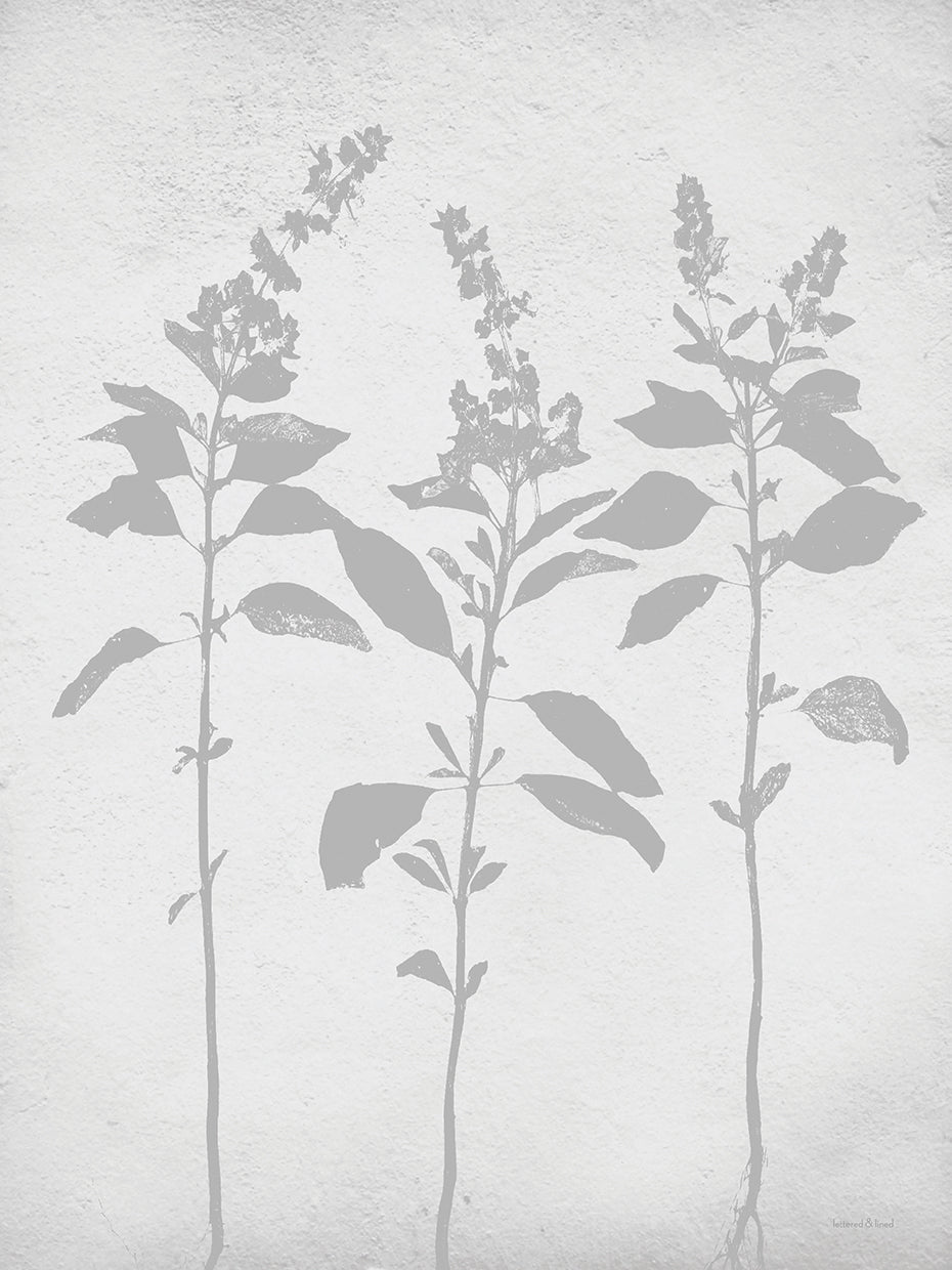 Retreat Botanical 7