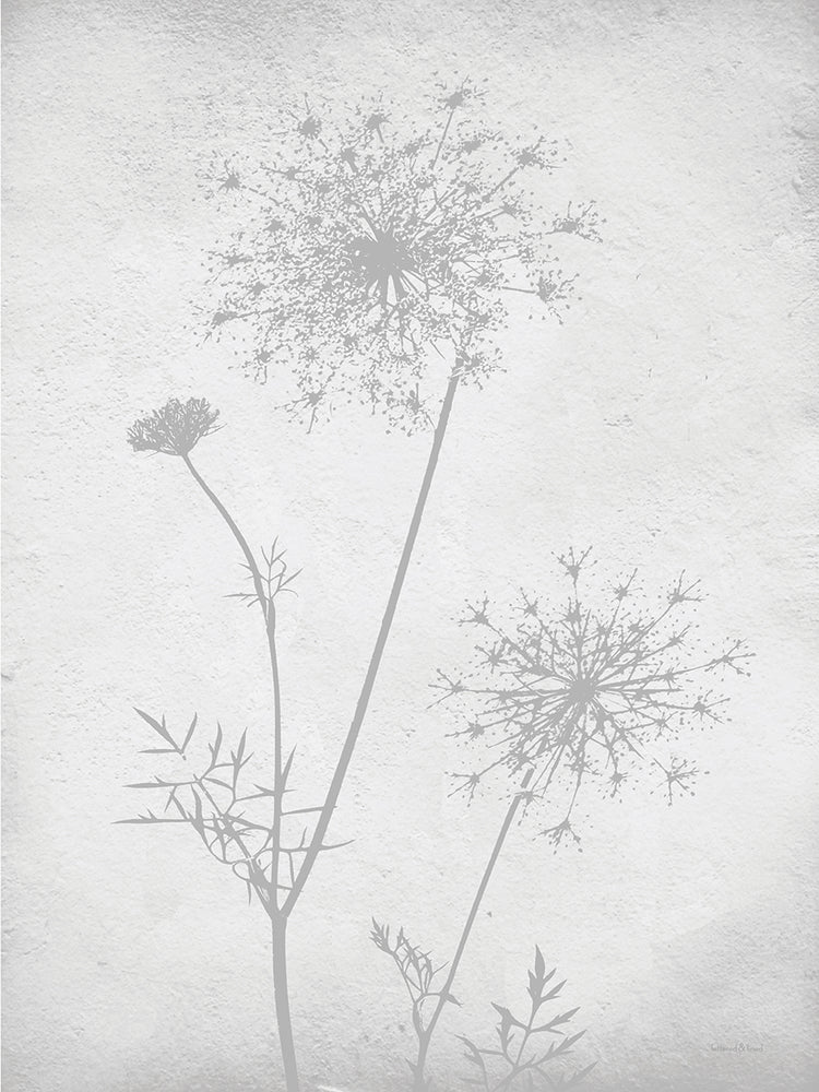 Retreat Botanical 11