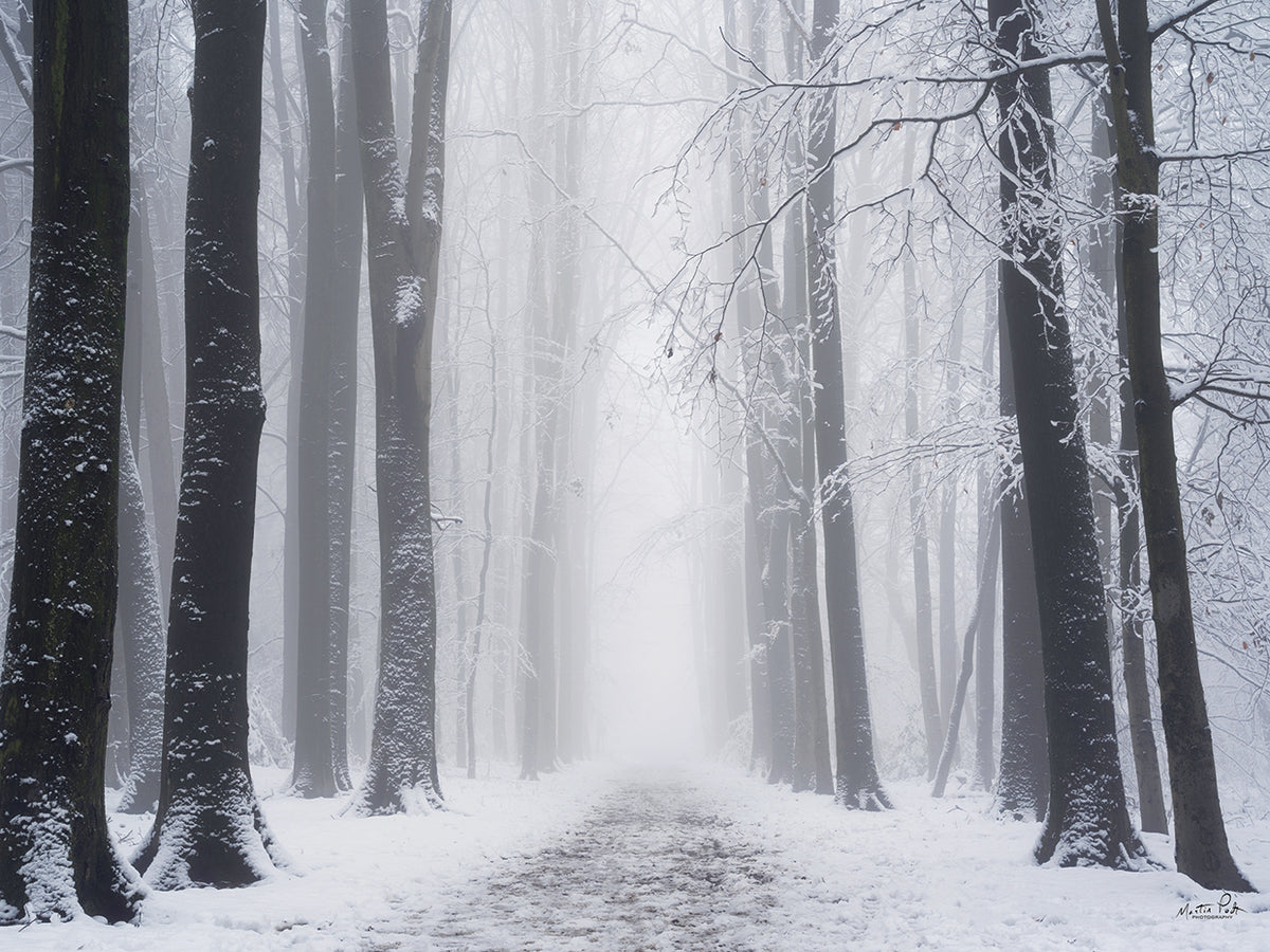 Whiteout