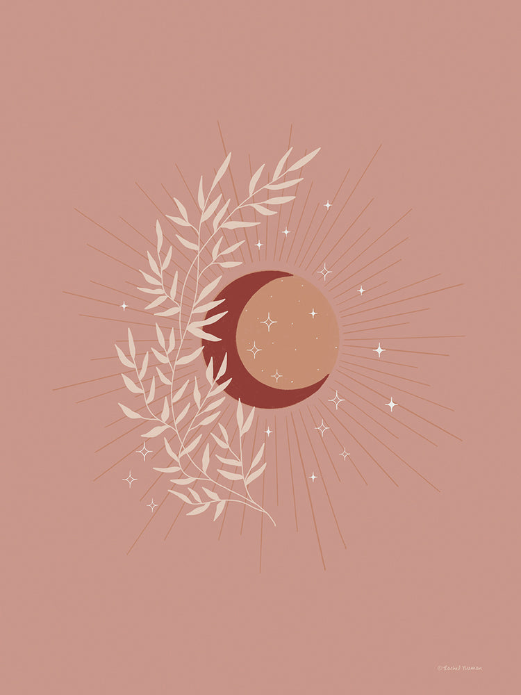 The Moon, Sun and Earth