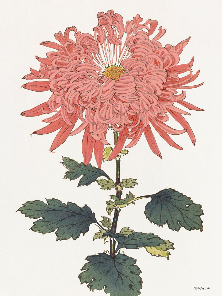 Pink Floral 1