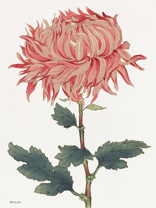 Pink Floral 4 Canvas Print