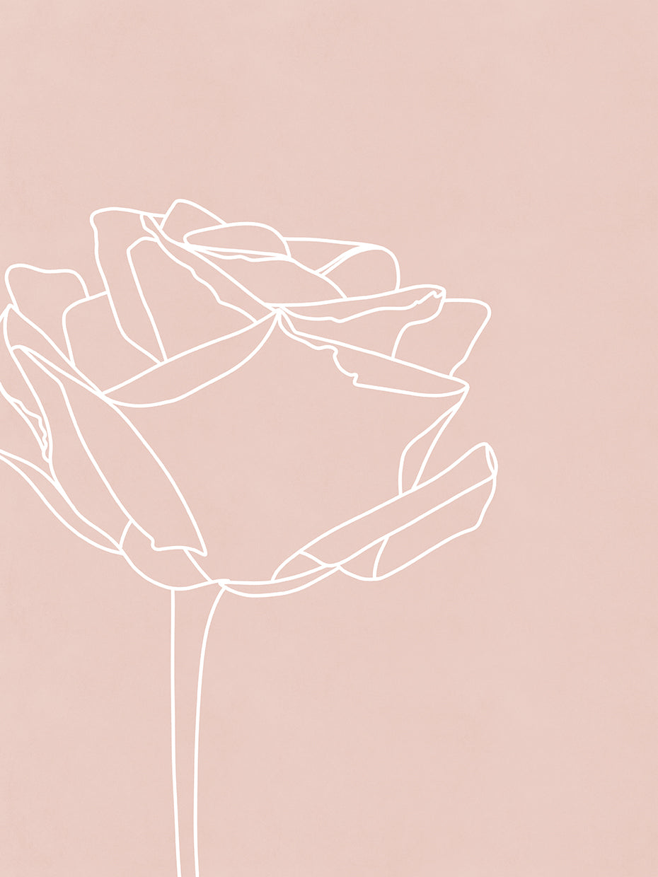 Blush flowers I