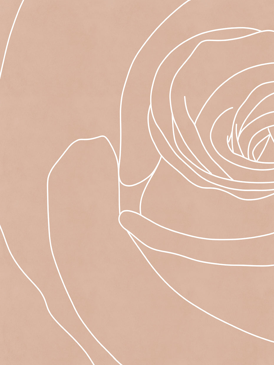 Blush flowers III