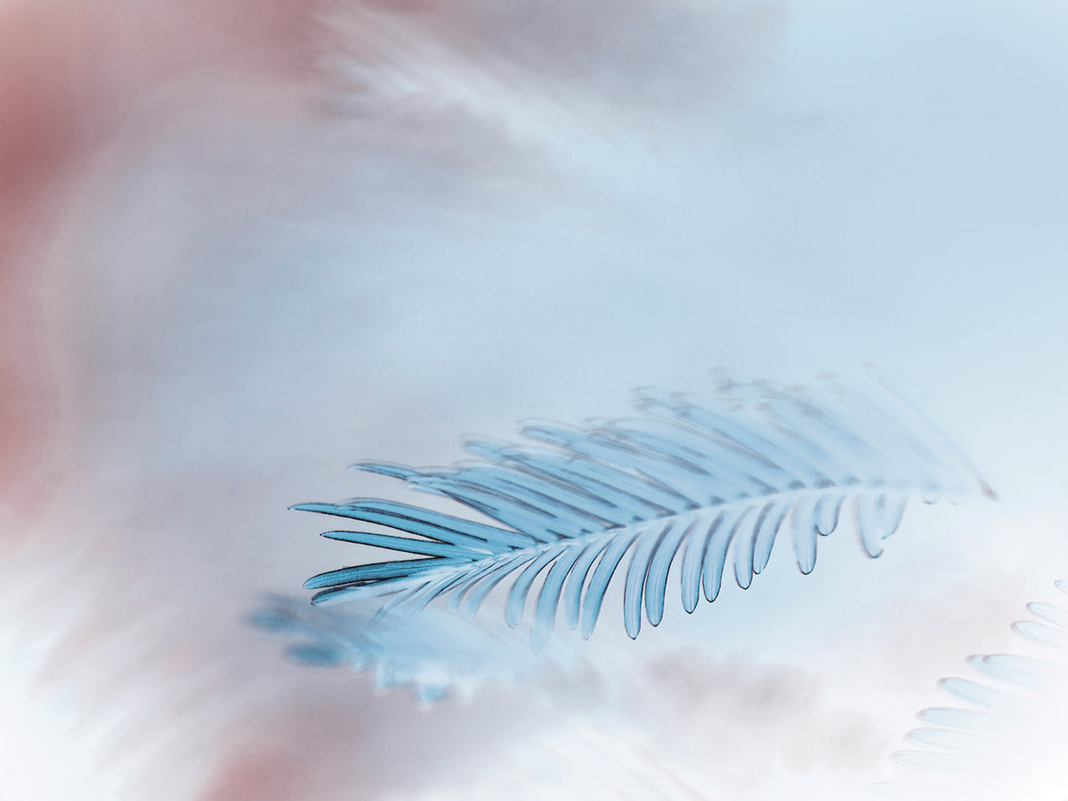 Icy Pine