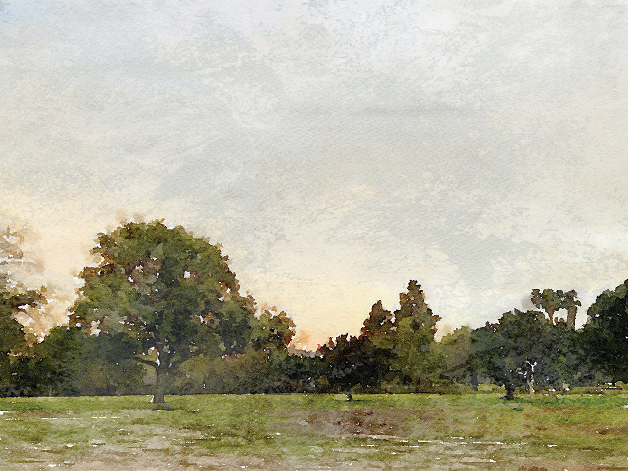 Quiet place V