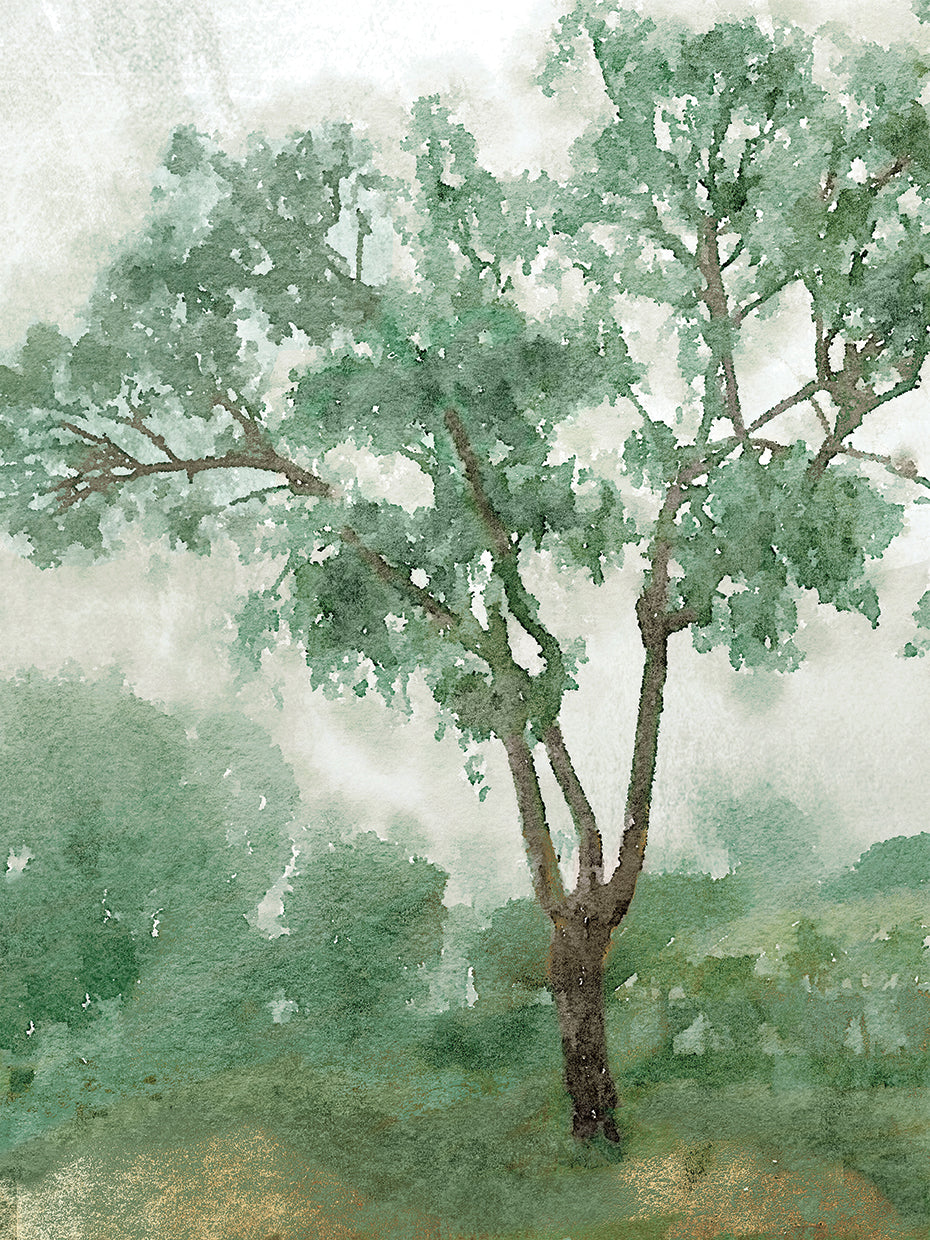 Fog Drifts II