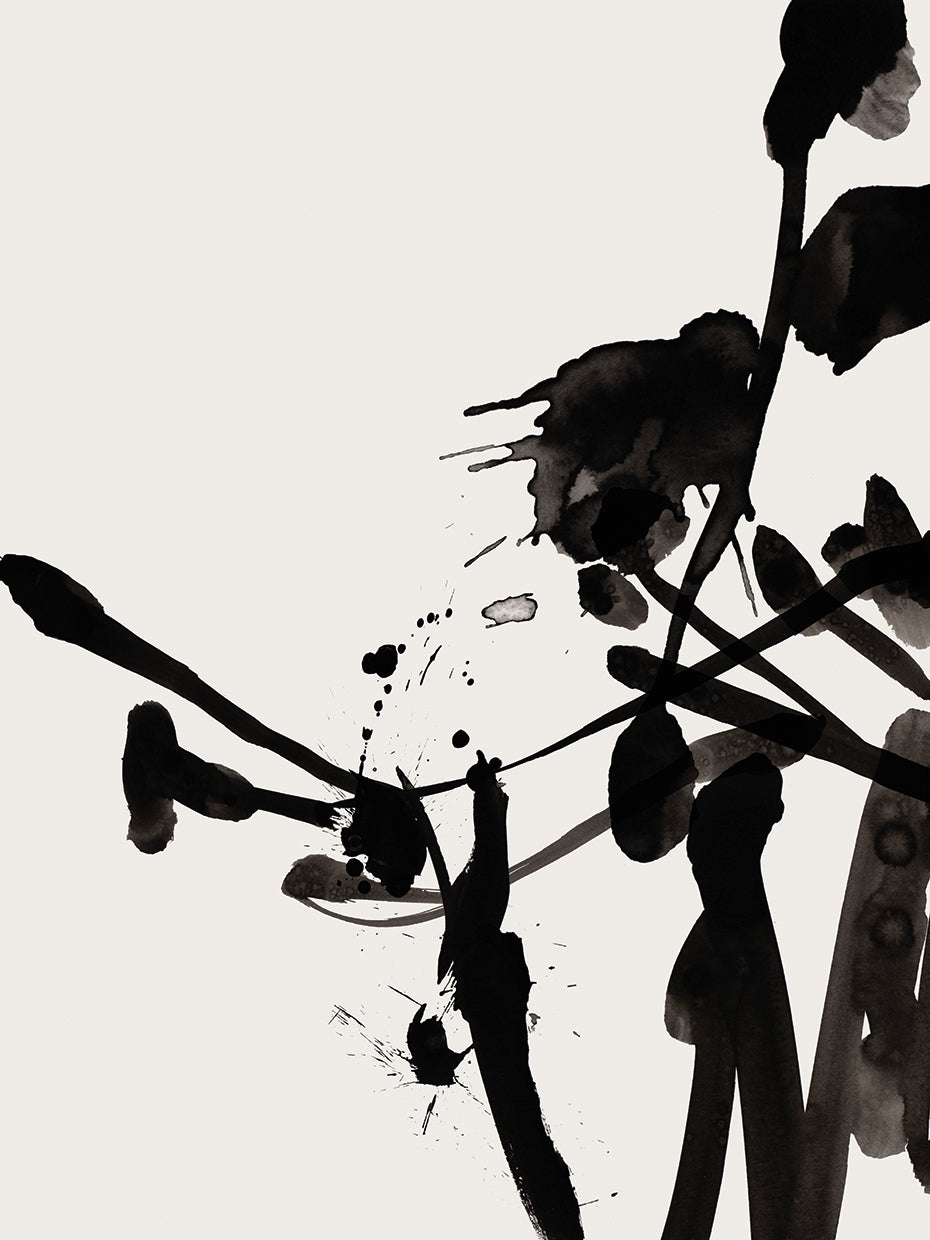 Black Blooms II