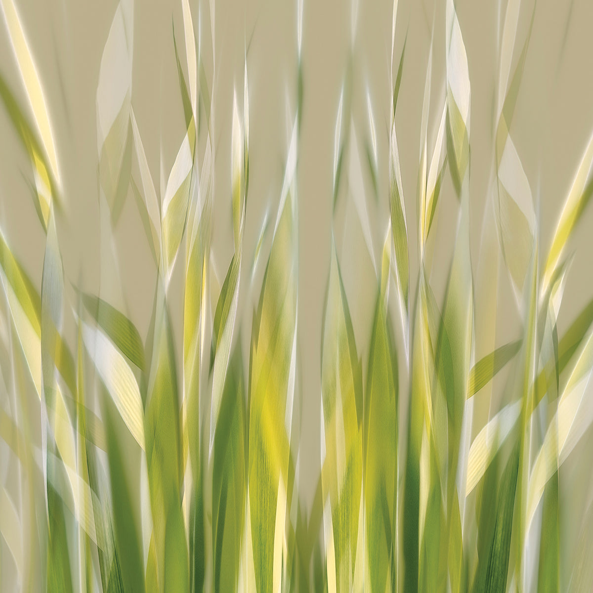 Talen - Dancing reed