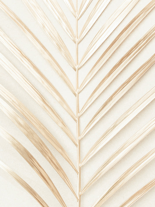 Studio III - Golden Palm Leaf Canvas Print
