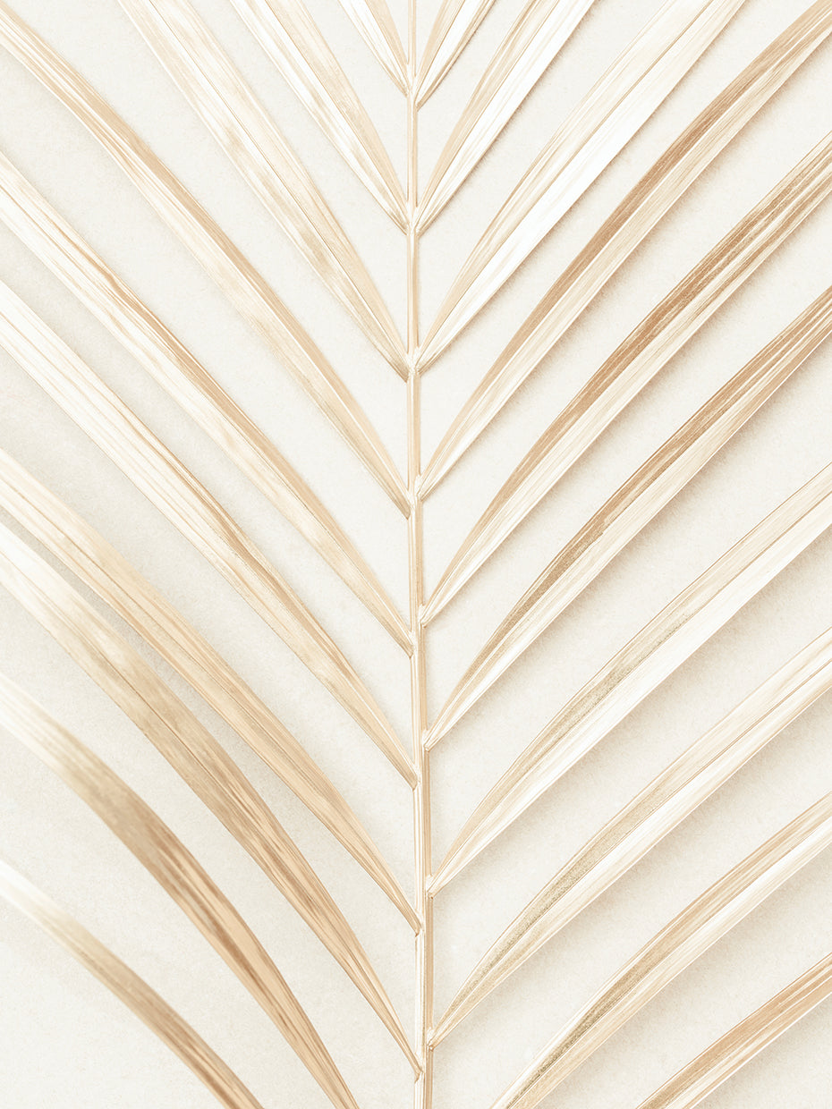 Studio III - Golden Palm Leaf
