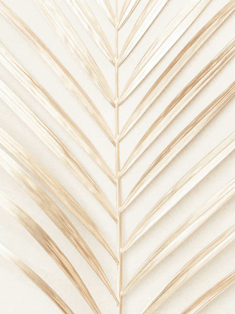 Studio III - Hoja de palma dorada Lienzo