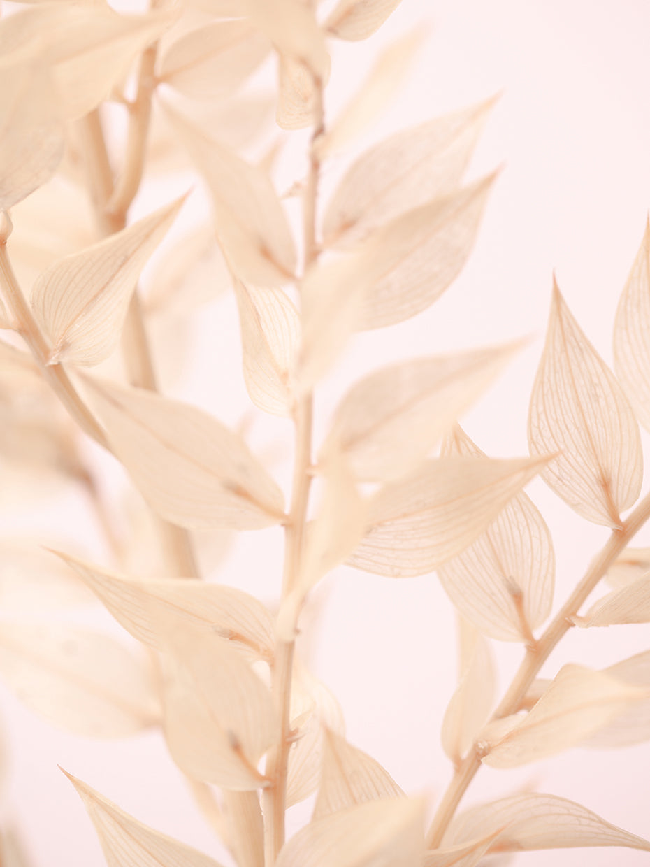 Studio III - Untitled