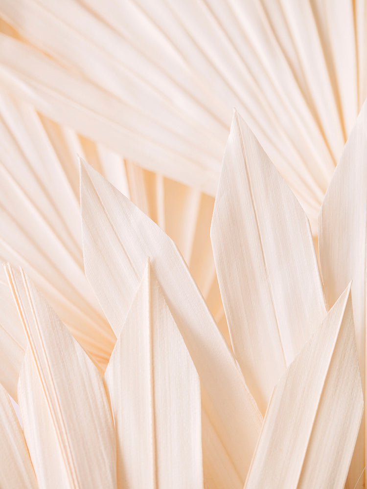 Studio III - Pattern