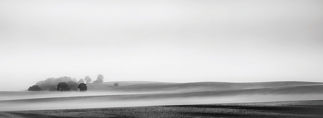 Fog in the Countryside