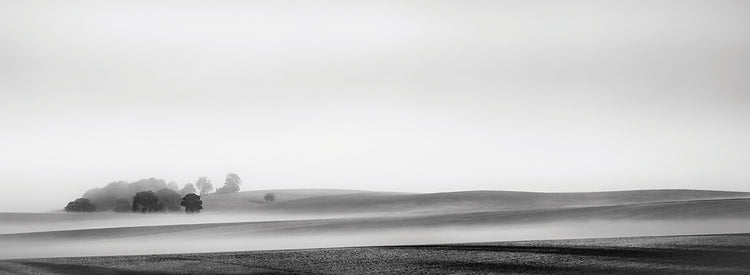 Fog in the Countryside