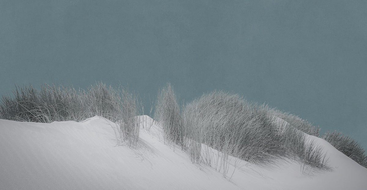 Soft Dunes