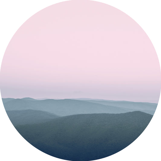 Blushing Landscape Canvas Print