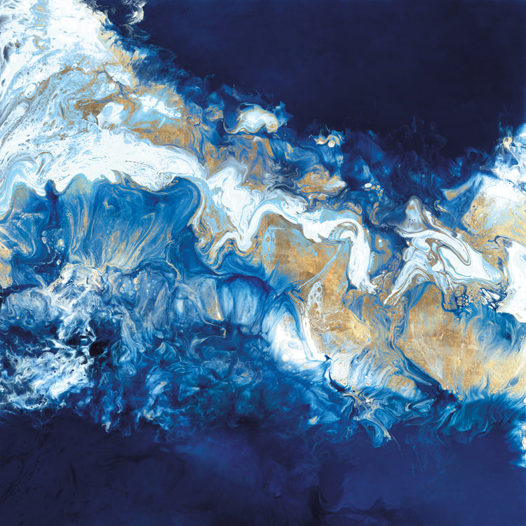 Dance of the Coral Reef