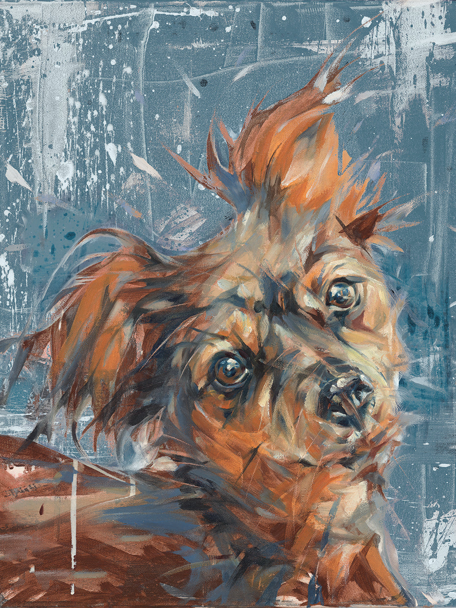 Chihuahua