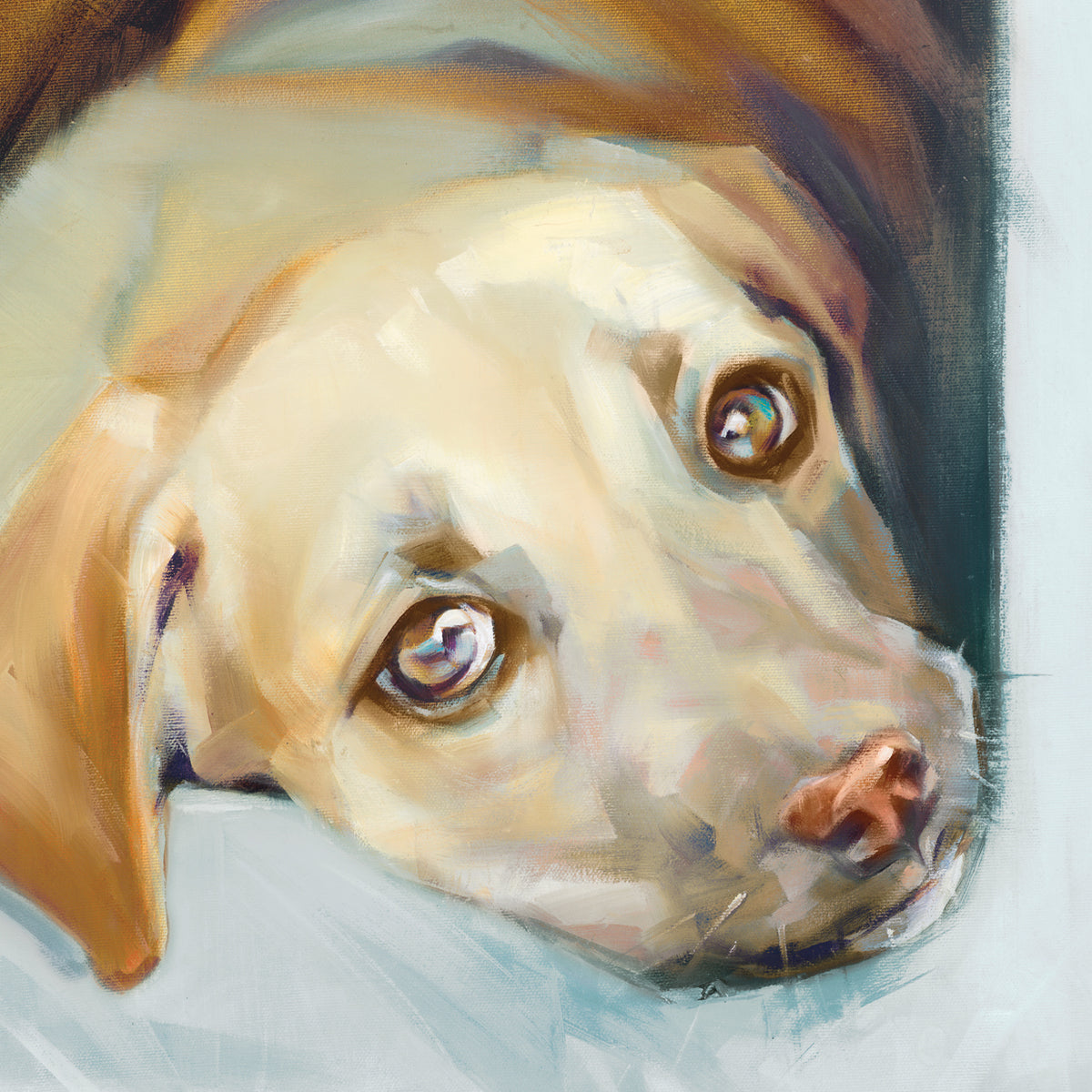 Retriever II
