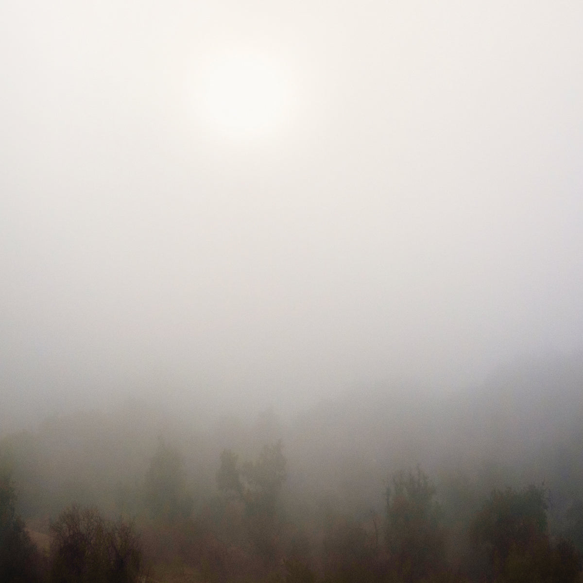 Early Mist I