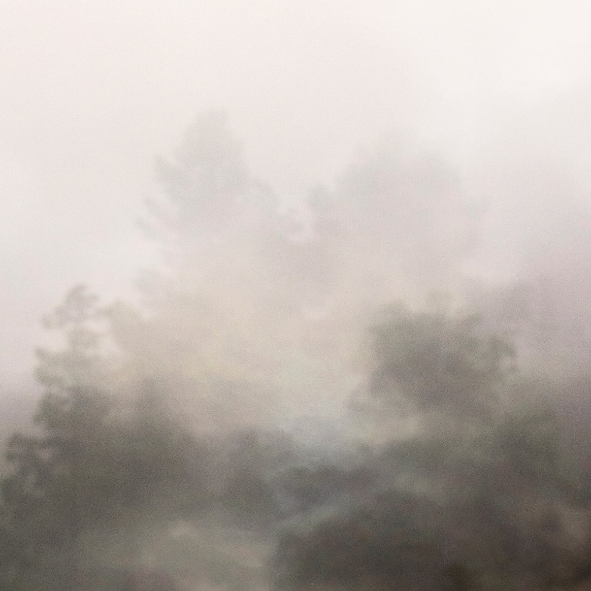 Early Mist II