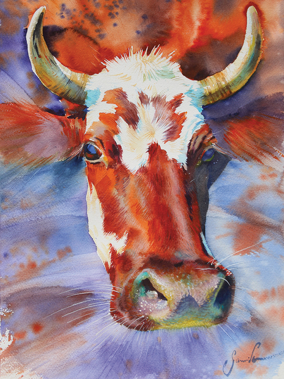 Cow
