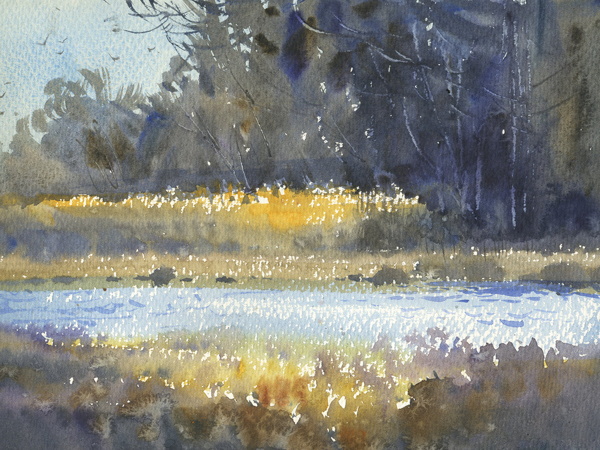 Summer Lake In The Forest