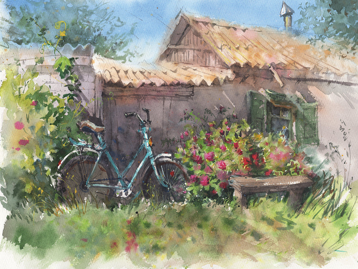 Bike Near The Fence In Flowers In Nature