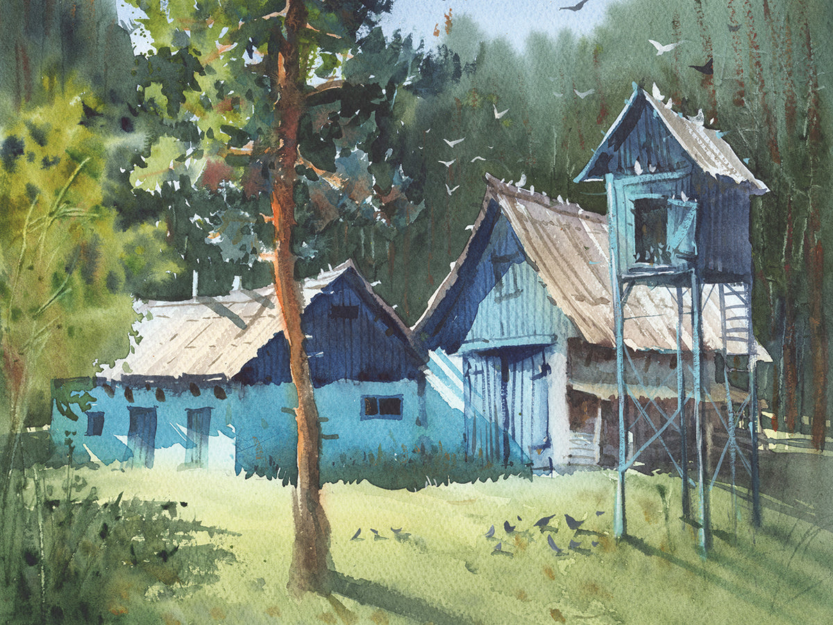 House In The Forest