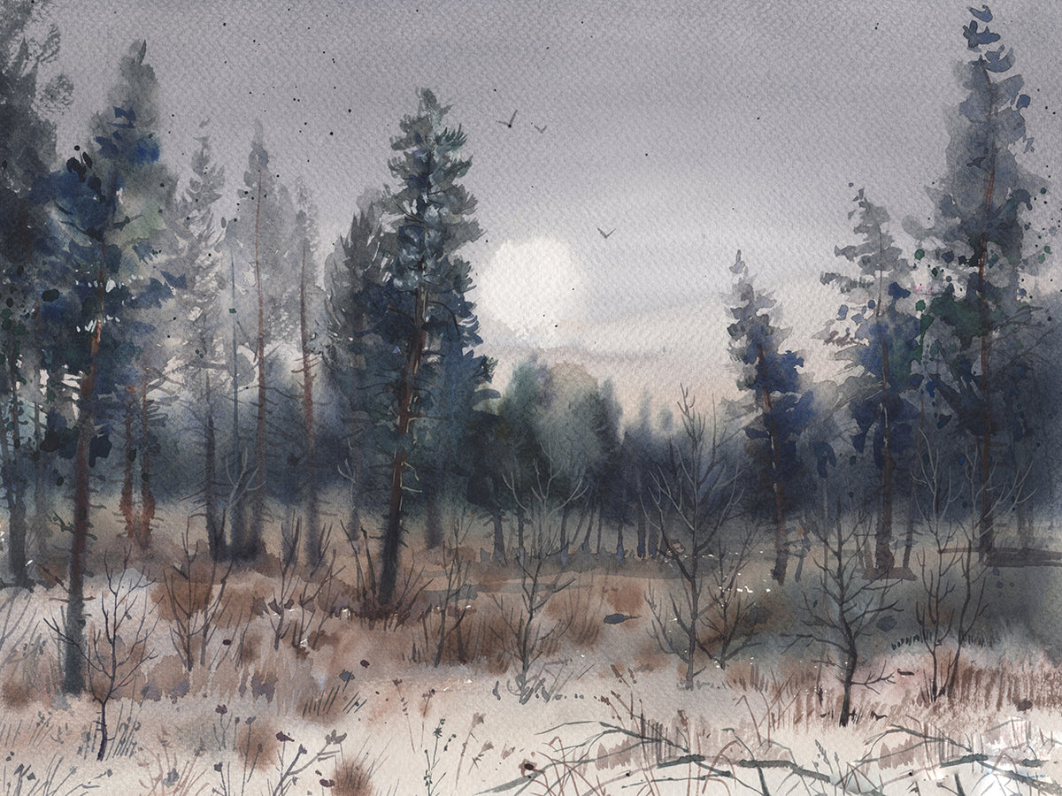 Forest Landscape