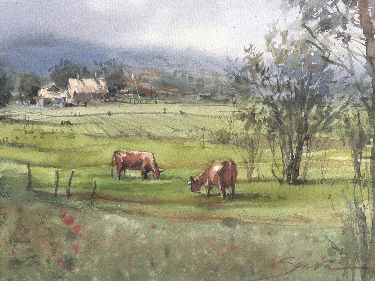 Meadow With Cows