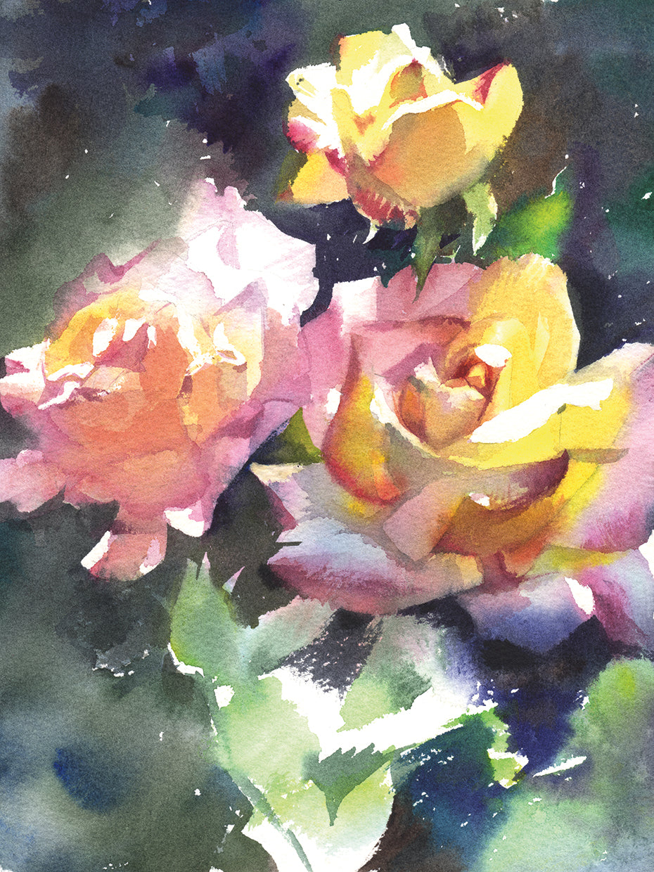 Rose