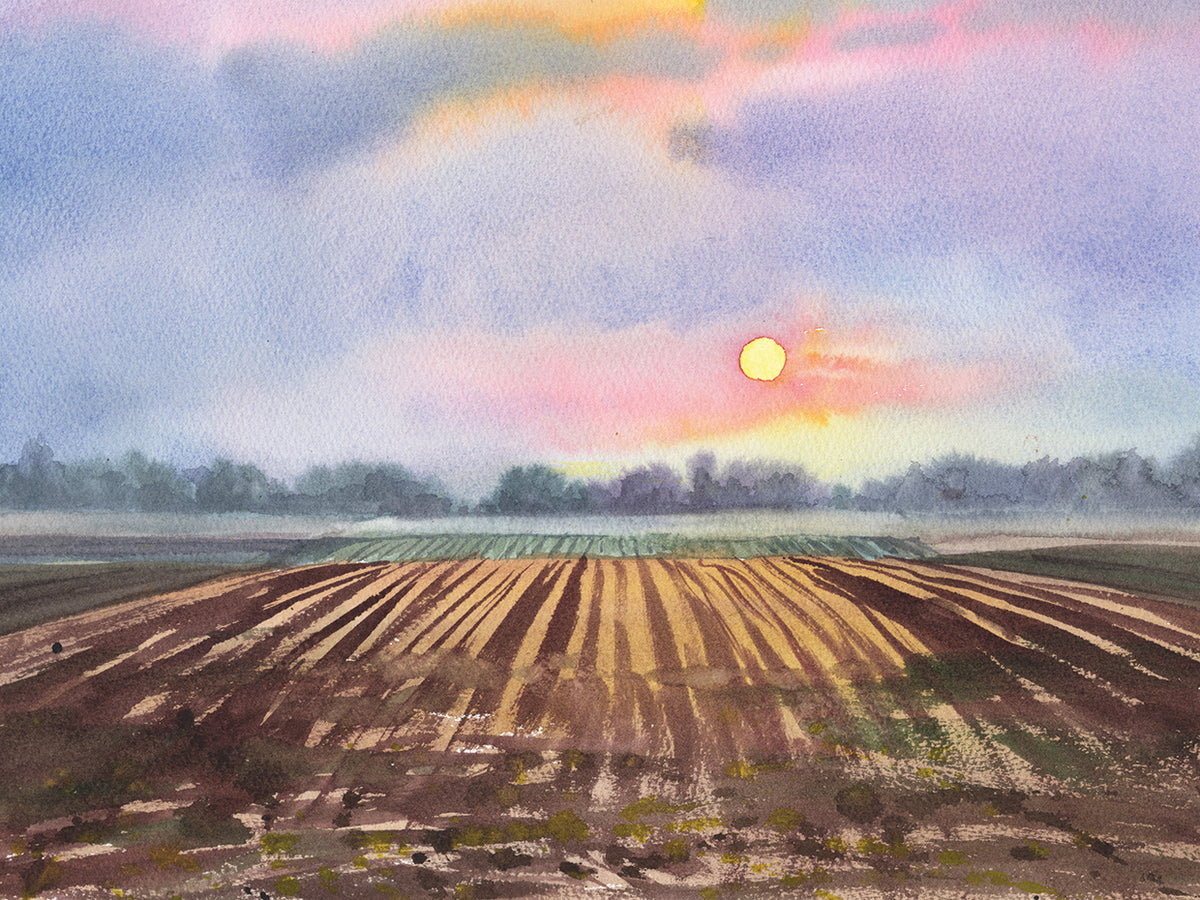 Field