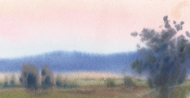 Niebla Lienzo