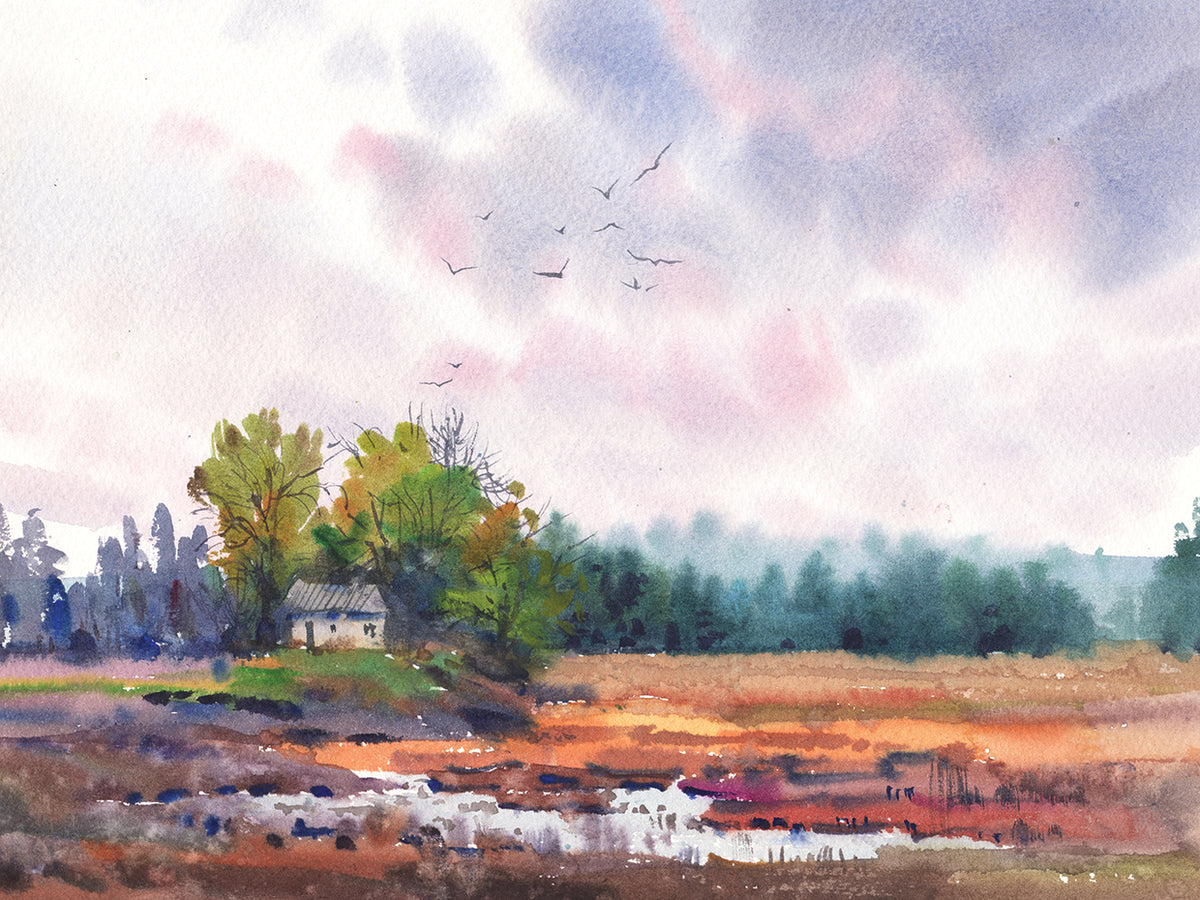 Countryside Landscape