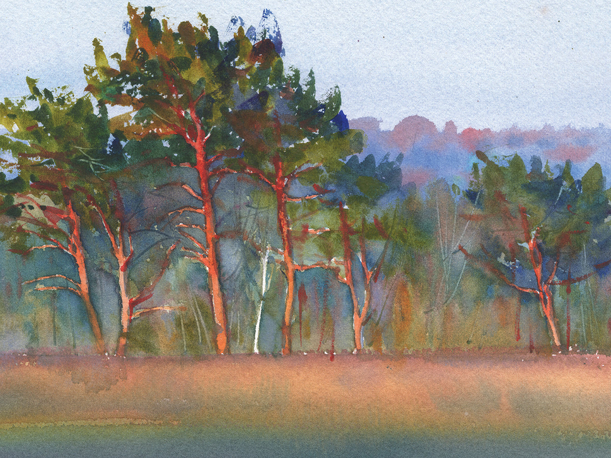 Trees In The Field